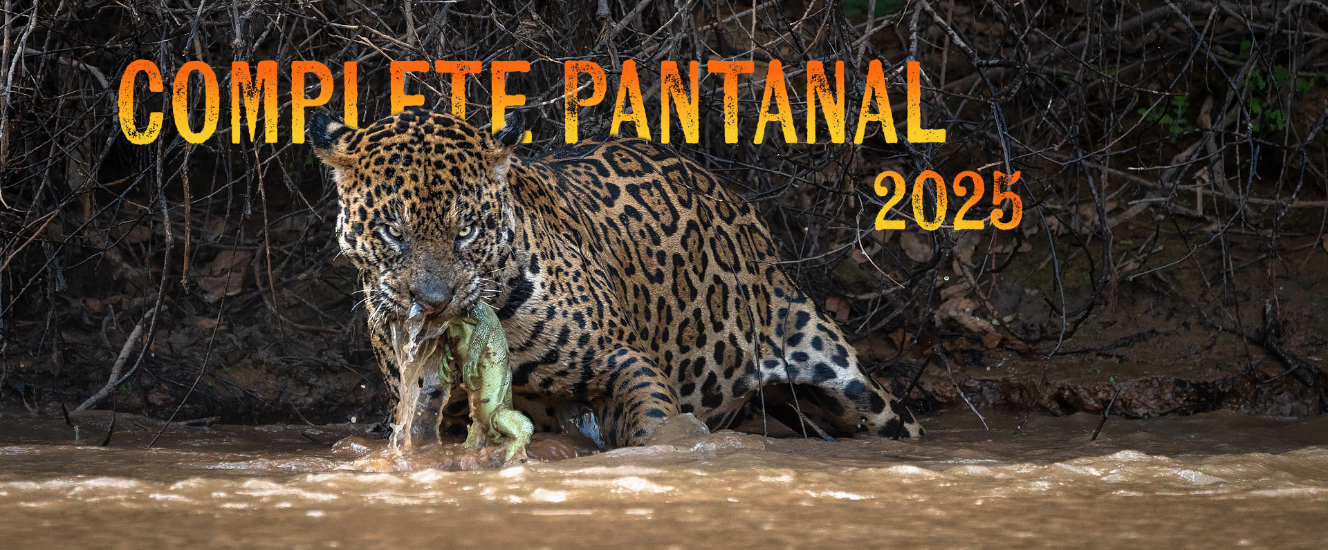 Complete Pantanal 2025