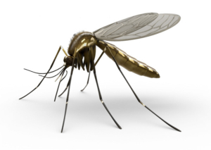 Tropical diseases in Brazil