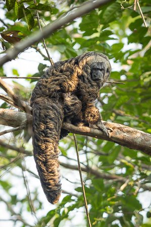 South Amazon photo tour