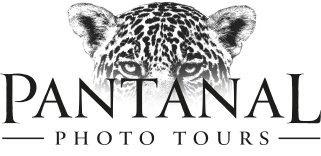 Pantanal Photo Tours