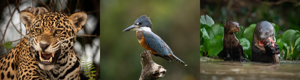 Barra_north_pantanal_2027 North Pantanal 2027
