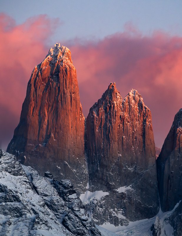 Pumas of Patagonia 2027