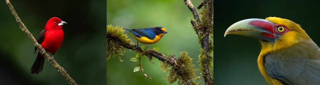 barra_highlights_2027